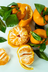 Similar image 21936154