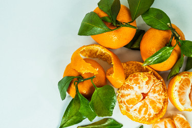 Similar image 21936155