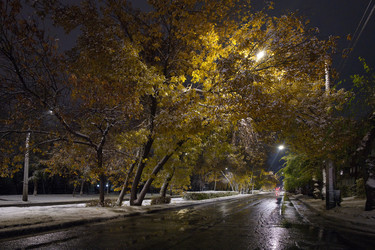 Similar image 21937460