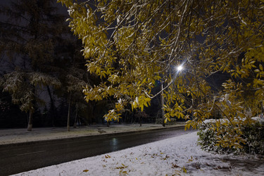 Similar image 21937463