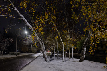 Similar image 21937465