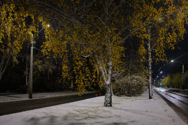 Similar image 21937467