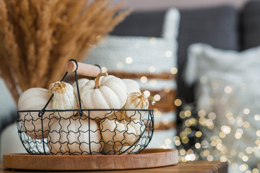 Similar image 21942771