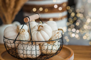 Similar image 21942775