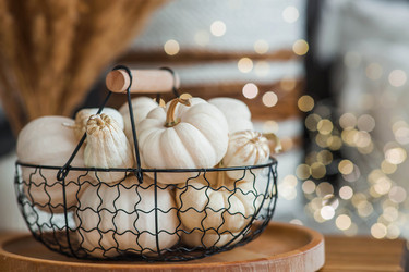 Similar image 21942777