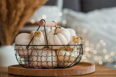 Similar image 21942779