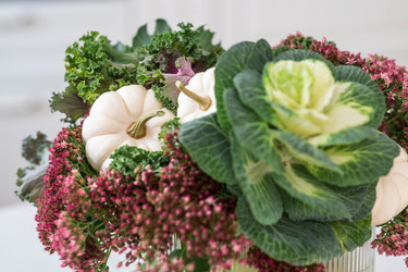 Similar image 21942780