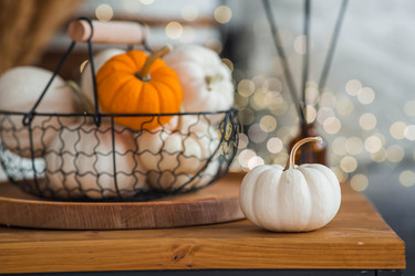 Similar image 21942787