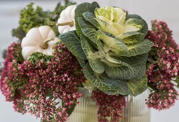 Similar image 21937991