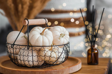 Similar image 21937992