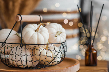 Similar image 21942795