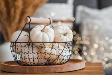 Similar image 21942799