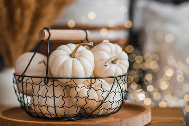 Similar image 21942801