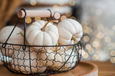 Similar image 21937993