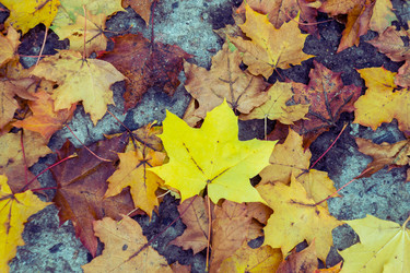 Similar image 21938691