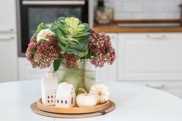 Similar image 21938004