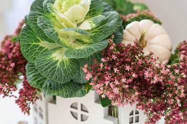 Similar image 21938010