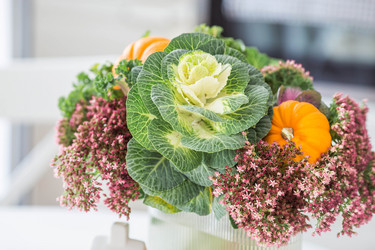 Similar image 21938038