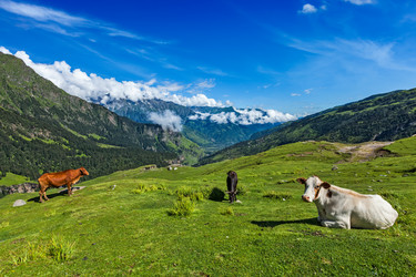 Similar image 21936866