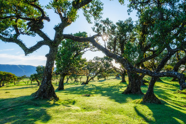 Similar image 21936867