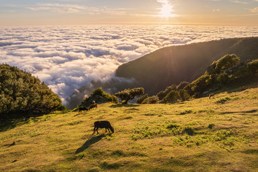 Similar image 21937031