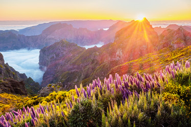 Similar image 21937033