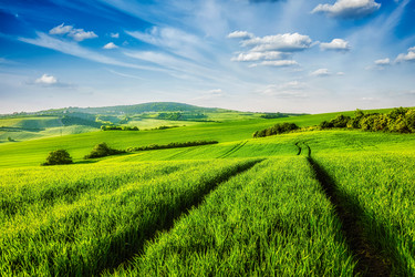 Similar image 21937037