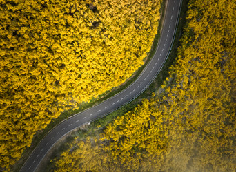 Similar image 21937038