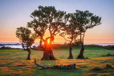 Similar image 21937043