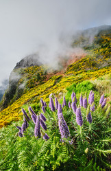 Similar image 21937045