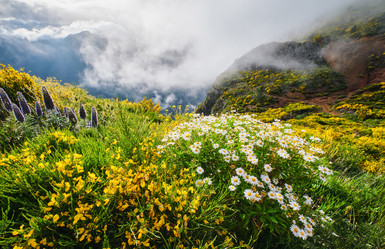 Similar image 21937047