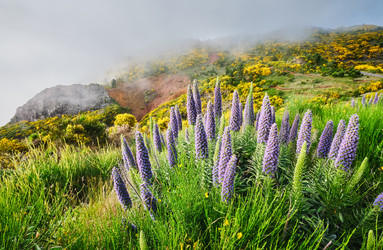 Similar image 21937049