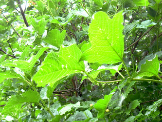 Similar image 21936879