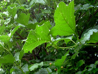 Similar image 21936883