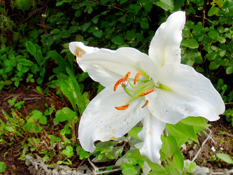 Similar image 21936884