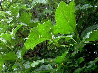 Similar image 21936885