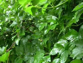 Similar image 21936886