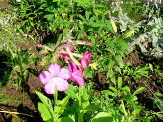 Similar image 21936889