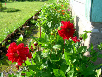 Similar image 21936890