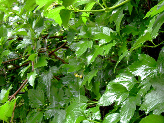 Similar image 21936891