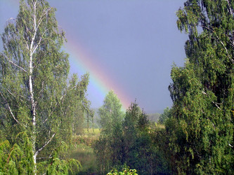 Similar image 21936896