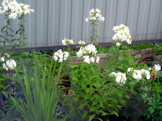 Similar image 21936897