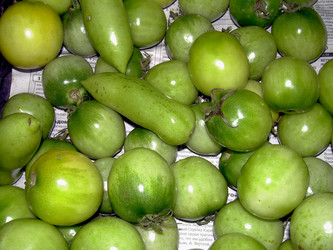 Similar image 21936899