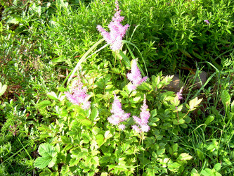 Similar image 21936901