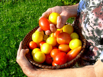 Similar image 21936902