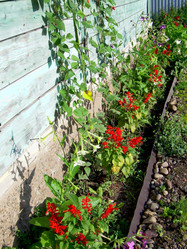 Similar image 21936904