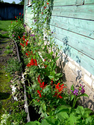 Similar image 21936905