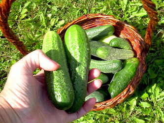 Similar image 21936907