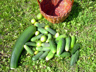 Similar image 21936908