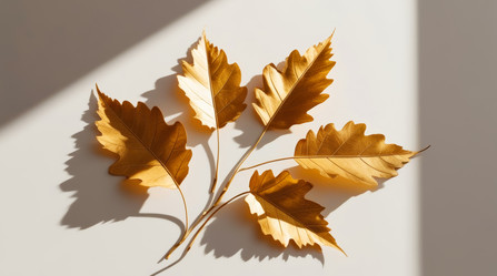 Similar image 21936169